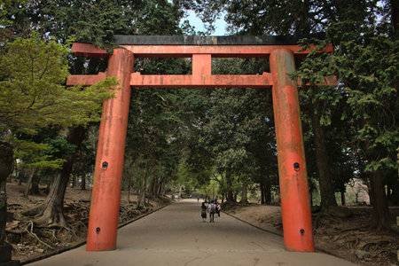 Torii at Tamukeyama Hachimangu Shrine in Nara Japanのeditorial素材