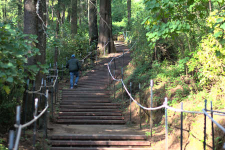 Man climbing stairs in the middle of the forest