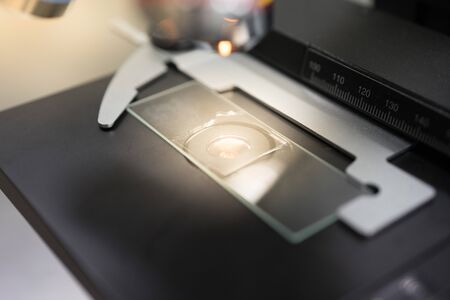 A medical equipment, Laboratory Microscope.の写真素材