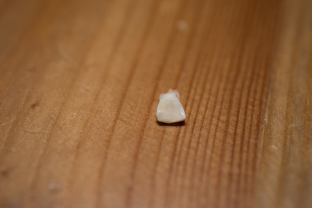 baby tooth with blood stain on the wood flow.の写真素材