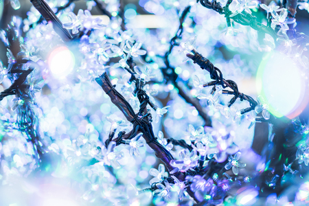The LED electric flower in the city.の写真素材