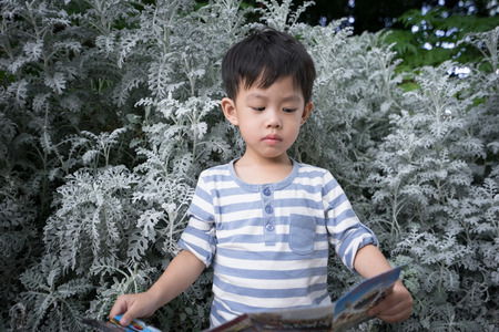 A boy is reading a brochure among the leaf.の写真素材