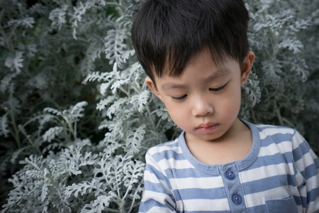 A sad boy is standing among the leaf.の写真素材