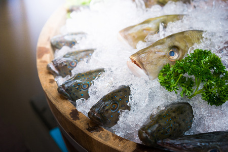fresh fish with ice on tank, for sashimi at the japanese restaurant.の写真素材