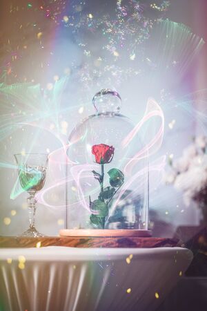 A enchanted rose in the glass covering on the wood table with sunlight in the moring.の写真素材