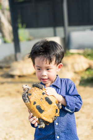 A boy is playing a turtle from Africa in Sulcata farm in Thailand.の写真素材