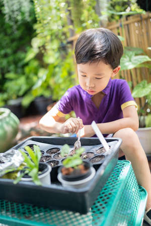 Boy trying to plant a tree in a little garden.の写真素材