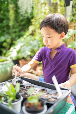 Boy trying to plant a tree in a little garden.の写真素材