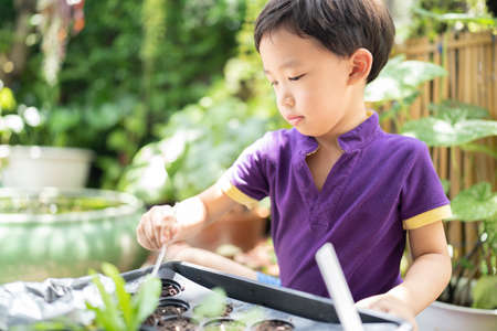 Boy trying to plant a tree in a little garden.の写真素材