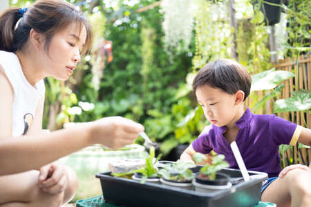 Boy studying how to plant a tree with his mother in a little garden.の写真素材