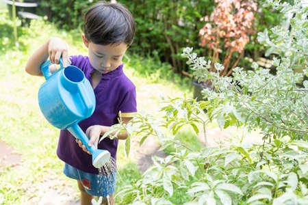 A boy is watering plants with a watering can in the garden.の写真素材