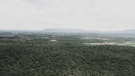 Aerial photo of a South East Asian forest road. Concepts of ecosystems and healthy ecosystems.の写真素材