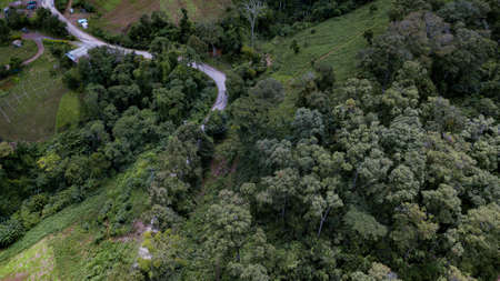Aerial image of a South East Asian woodland road. Ecosystem and healthy ecosystem concepts and background, Thailand. Aerial picture of a provincial road traveling through a forest.の写真素材