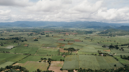 Agriculture in rice fields for cultivation in Thailand, as seen from the air. The background texture is natural.の写真素材