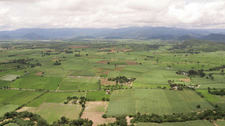 Agriculture in rice fields for cultivation in Thailand, as seen from the air. The background texture...
