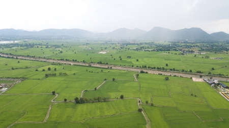 Agriculture in rice fields for cultivation in Thailand, as seen from the air. The background texture is natural.の写真素材