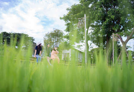 Travelers in a rice field. Traveling to clean locations on the planet and discovering nature's splendor.の写真素材