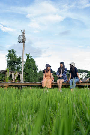 Travelers in a rice field. Traveling to clean locations on the planet and discovering nature's splendor.の写真素材