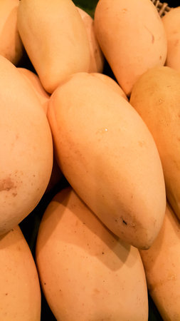 mangoの写真素材