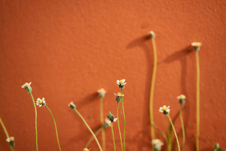 The sky with the sun's rays pouring out from the clouds.の写真素材