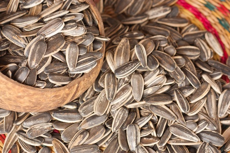 sunflower seeds and ladle water