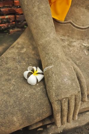 Buddha Status at Temple of Ayuthaya, Thailandの写真素材