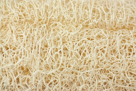 Loofah textureの写真素材