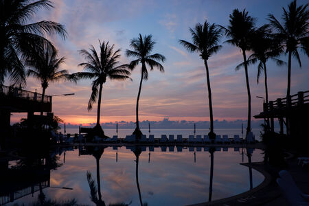 Sunrise  with silhouette palm trees 
