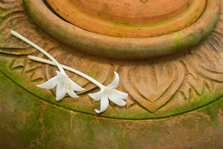 Thai design Clay Pottery and Millingtonia hortensis , Indian cork treeの写真素材