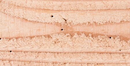 Surface of wood texture background