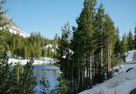 Yosemiteの写真素材