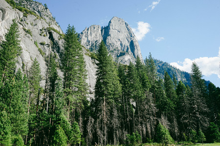 Yosemiteの写真素材