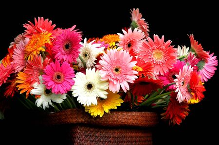 Group of colorful gerbera in basket with black groundの写真素材