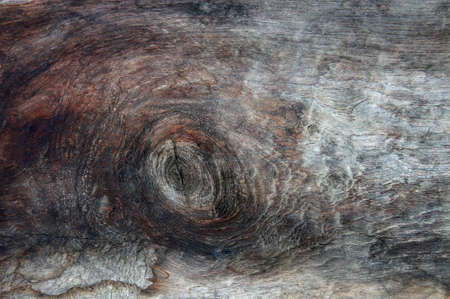 Old grunge wooden table texture background.の写真素材