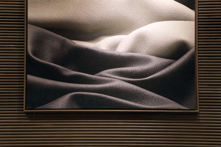 Art photo of leather sheet in photo frame on wall.の写真素材