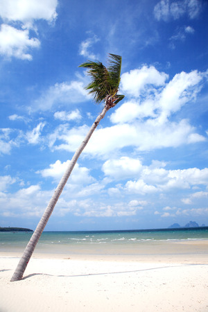 Nai Harn Beach, Rawai, Phuket, Thailand.の写真素材