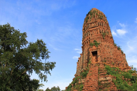 Thai Pagoda in Ayutthayaの写真素材