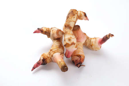 close up and top view Fresh galangal, vegetables isolate on a white backgroundの写真素材