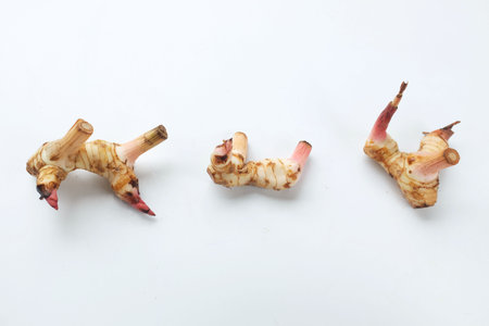 close up and top view Fresh galangal, vegetables isolate on a white backgroundの写真素材