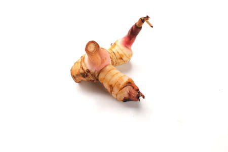 close up and top view Fresh galangal, vegetables isolate on a white backgroundの写真素材