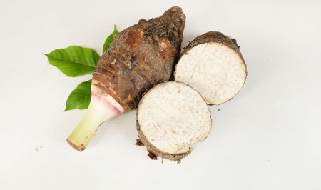 Fresh raw organic Taro root ,taro fragrant ,(colocasia esculenta) whole and half and green leaf.with a pleasant smell isolate on a white backdrop.の写真素材