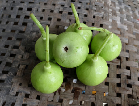 fresh raw organic green Bottle gourd , White-flowered gourd, Calabash cucumber or calabash  ( Lagenaria Siceraria) Whole with cut in half slice   on a 
On the woven bamboo floor.の写真素材