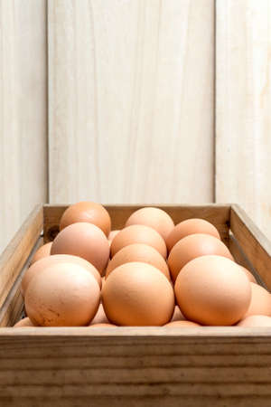 eggs backgroundの写真素材