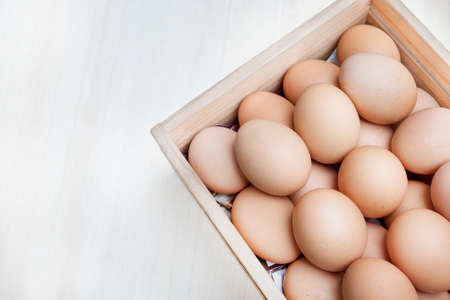 eggs backgroundの写真素材