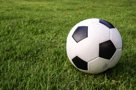 Soccer ball on grassの写真素材