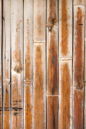 bamboo pattern backgroundの写真素材