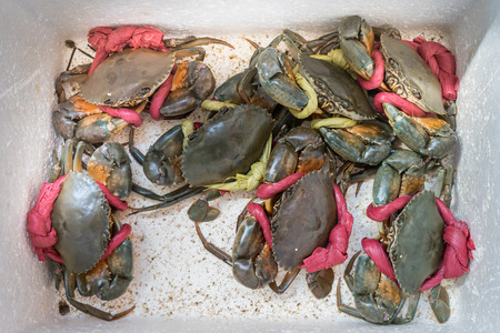 crabs in a white foam box waiting to be foodの写真素材