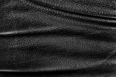 animal skin texture background with copy spaceの写真素材