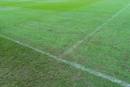 green grass white line football pitchの写真素材