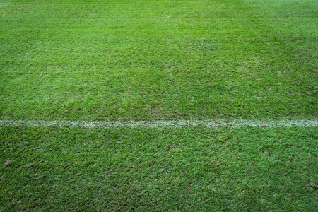 white stripe on green grass background with text spaceの写真素材
